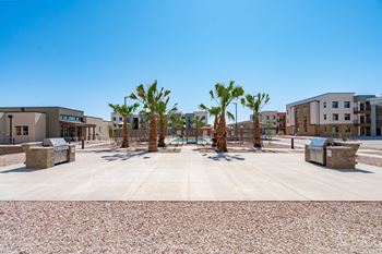 A sunny day at a courtyard with palm trees and buildings in the background.
